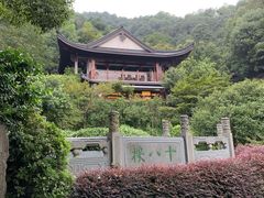 -十八棵（老龙井）御茶园(老龙井店)