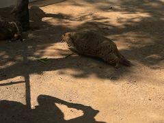 -北京野生动物园