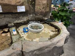 -郑庄脂渣海鲜楼(九水路店)