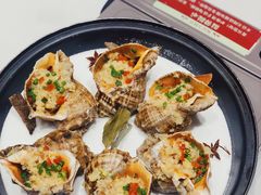 盐焗东风大海螺-好福记饭店(红梅公园店)