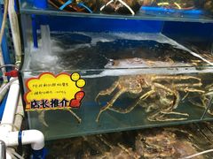 -蚝专家(北滘店)