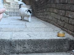 -北京凤凰岭