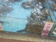 -花好悦园(瀛洲店)