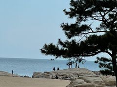 -老虎石海上公园