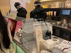 -爷爷不泡茶 NOYEYENOTEA(长沙五江天街店)