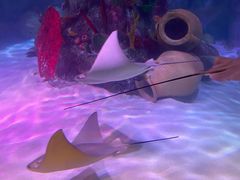 -沈阳海洋探索中心