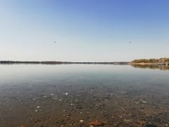 -丁香湖公园