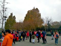 -大兴滨河森林公园