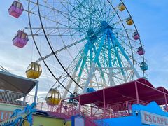 -巨鹏飞梦幻海岸