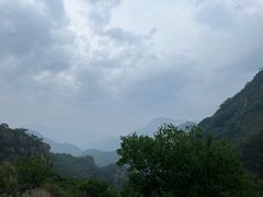 -大岭沟猕猴桃谷风景区