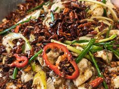 -川味火锅(牛塘店)