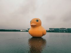 -琅岐红光湖公园