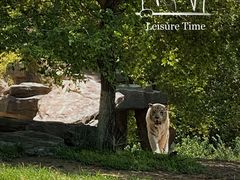 -北京野生动物园