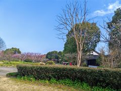 -上海海湾国家森林公园