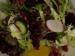 农家大拌菜-老毛手抓·盐池滩羊非遗手抓(宁夏总店)