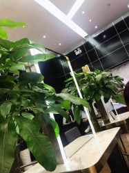 -MMbyHairCode 芭曲发型沙龙