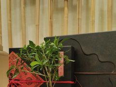 -小茶闲舍·观景商务茶馆(广州塔店)