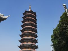 -葛仙湖公园