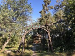 -天龙八部武侠城