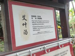 -三亚海棠湾南田温泉神龙谷