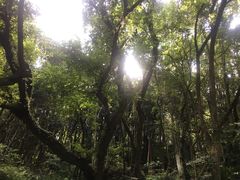 -青龙山公园