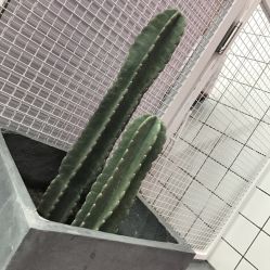 -时尚工厂·科学染发