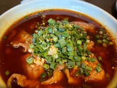 -向川南·水煮鱼·川菜(和平里店)