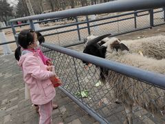 -长白岛森林公园