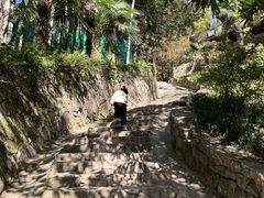 -莫干山风景区