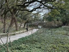 -普陀山风景名胜区-法雨禅寺
