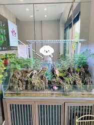 -阅年轻·AI家庭健康体质调理