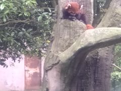 -贵州森林野生动物园