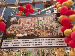 -卡通尼·Safari非洲探索乐园·生日会(金桥国际商业广场店)