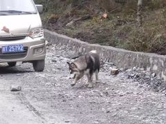 -硗碛藏寨·神木垒景区