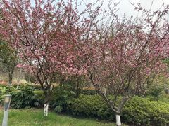 -苏州东太湖生态园