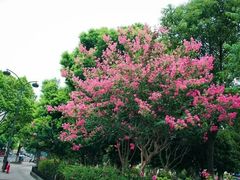 -杭州城北体育公园