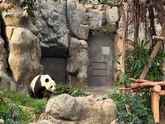 -香港海洋公园