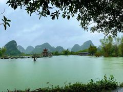 -靖西鹅泉风景区