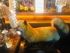 -杂咖zacup(领展中心城店)