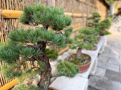 -龙华寺