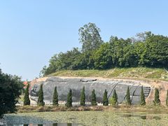 -三水森林公园