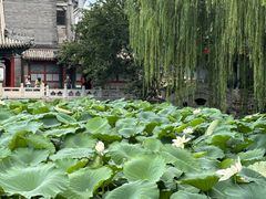 -莲池书院博物馆