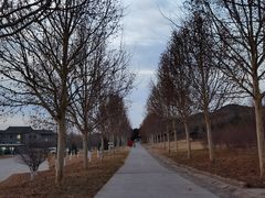 -北京西山国家森林公园