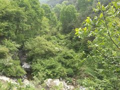 -王顺山国家森林公园