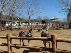 -大连森林动物园