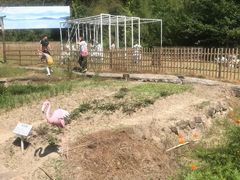 -宁波浙东大竹海景区