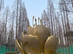 -东平国家森林公园
