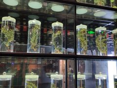 -广东中医药博物馆