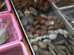 -大湾区中央湿地公园-十九涌