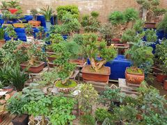 -秦美花卉(天朗·莱茵小城2期店)